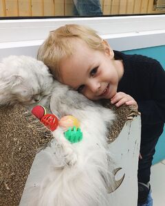 Алексей Пеков