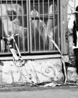 Наталия Крутова