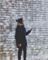 Рамиль Багиров