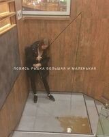 Дарья Блохина