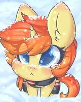 Игорь Щуклый