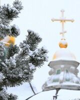 Даша Синцова