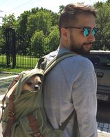 Руслан Солдатов