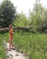 Зульфия Зиганшина