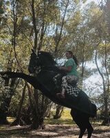 Алёна Гамбарова