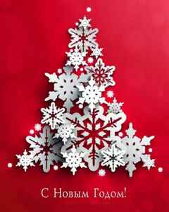 Екатерина Мостовая