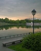 Алесека Нежная