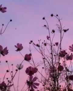 Арина Васькина