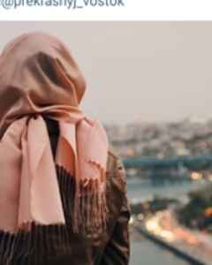 Медина Метиска