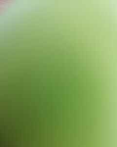 Горшок Чебупелькой