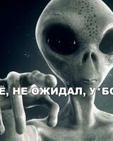 Никита Строгалин