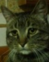 Олег Парампам