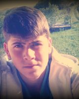 Валік Богдан