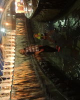 Дарья Дмитриева