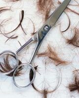 Владимир Палюхов