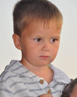 Аркадий Донцов