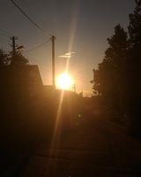 Настя Попова