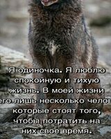 Кирилл Краснов