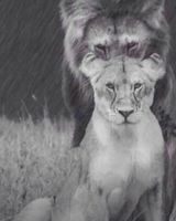 Бэла Гасиева