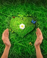 Максим Стержаков