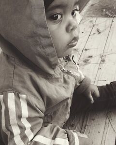 Давид Химич