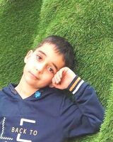 людмила ильина