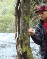 Голузов Вадимович