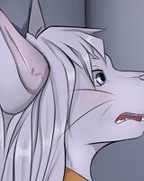 Роман Фиалкин