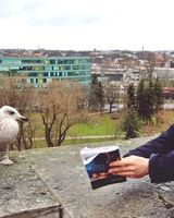 Евгений Смирных