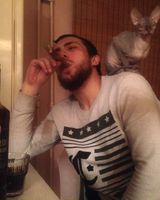 Владислав Соловьев