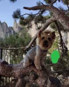 Артем Мартюшов