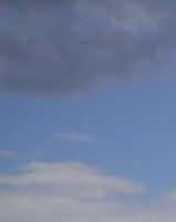 Владимир Панасюк