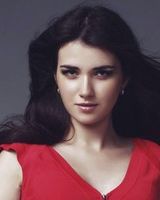 Елена Степанцева