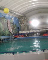 айдай мажитова