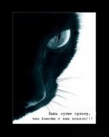 Дмитрий Соловьёв