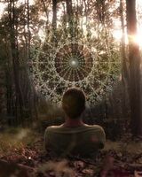 Григорий Перельман