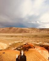 Анастасия Жилина