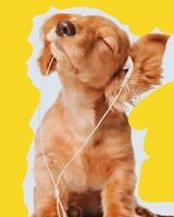 Вероника Степанова