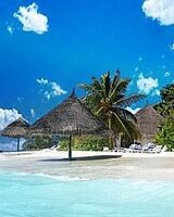 Алексей Федоров