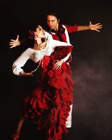 El Tebi Flamenco 
