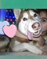 Анна Горд