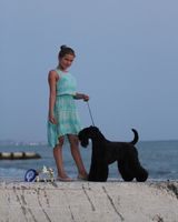 Полина Гужва