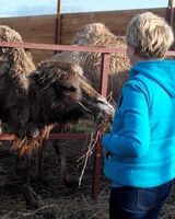 Лилия Гибадуллина