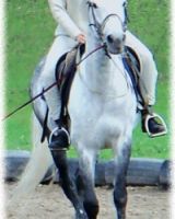 Александр Юрков