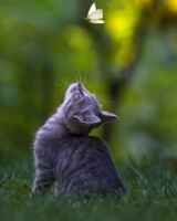 Мария Пинчук