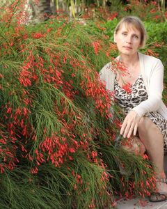 Елена 