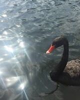 Нина Чистякова