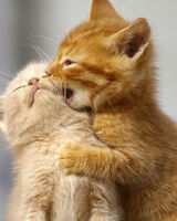 Евгения Мартинез