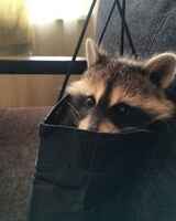 Анна Сычева