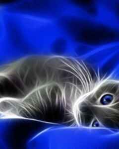 Наталья Тутукина